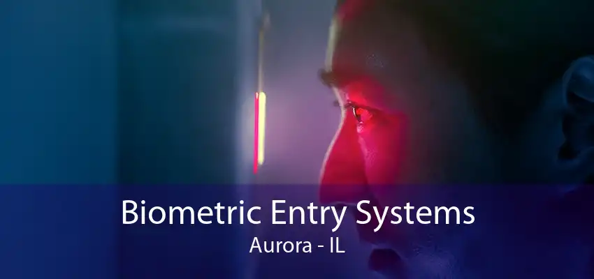 Biometric Entry Systems Aurora - IL