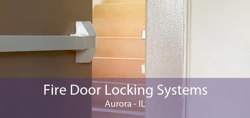 Fire Door Locking Systems Aurora - IL